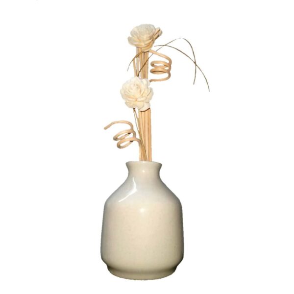 Diffuser Reed Set