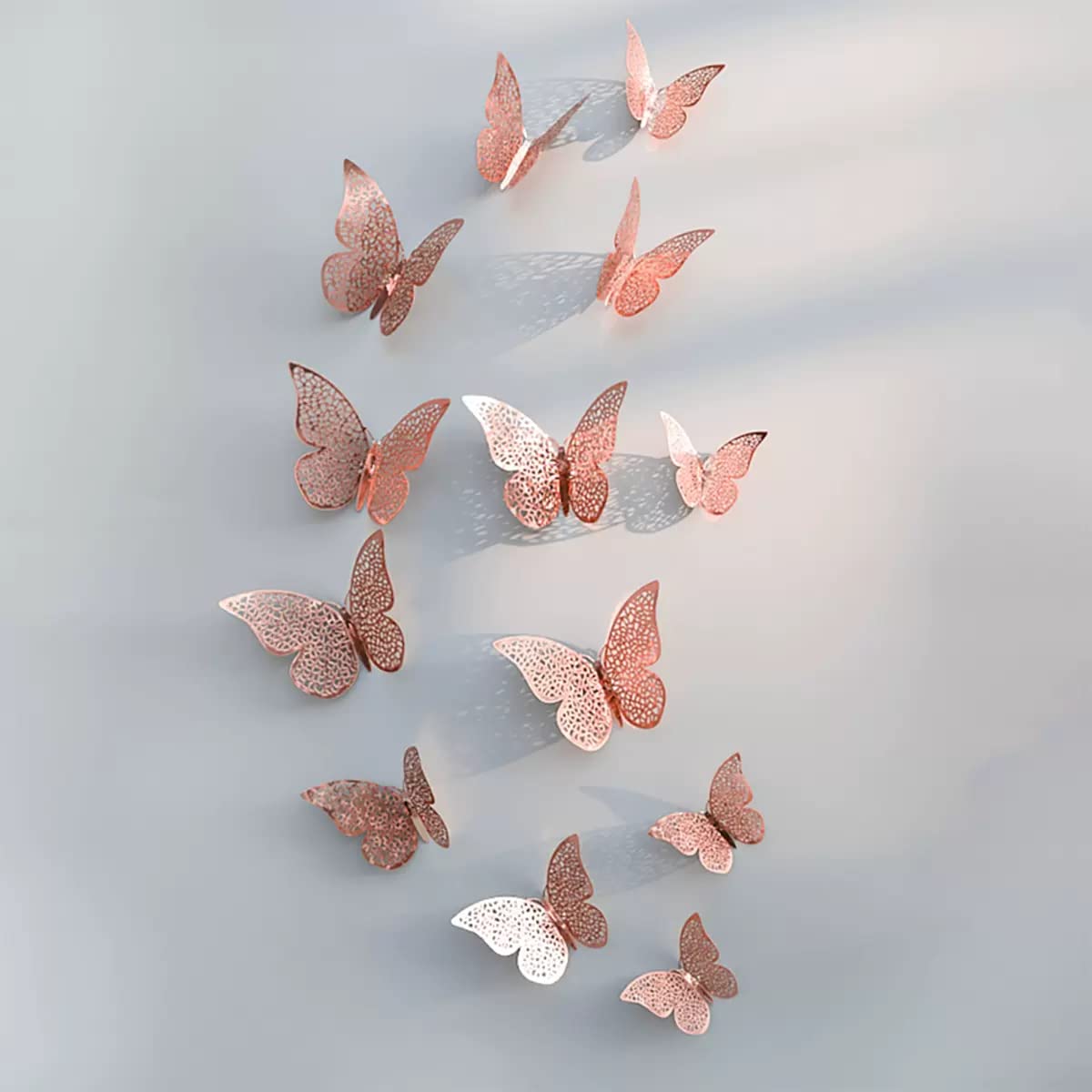 51QRdjtRdcL._SL1200_