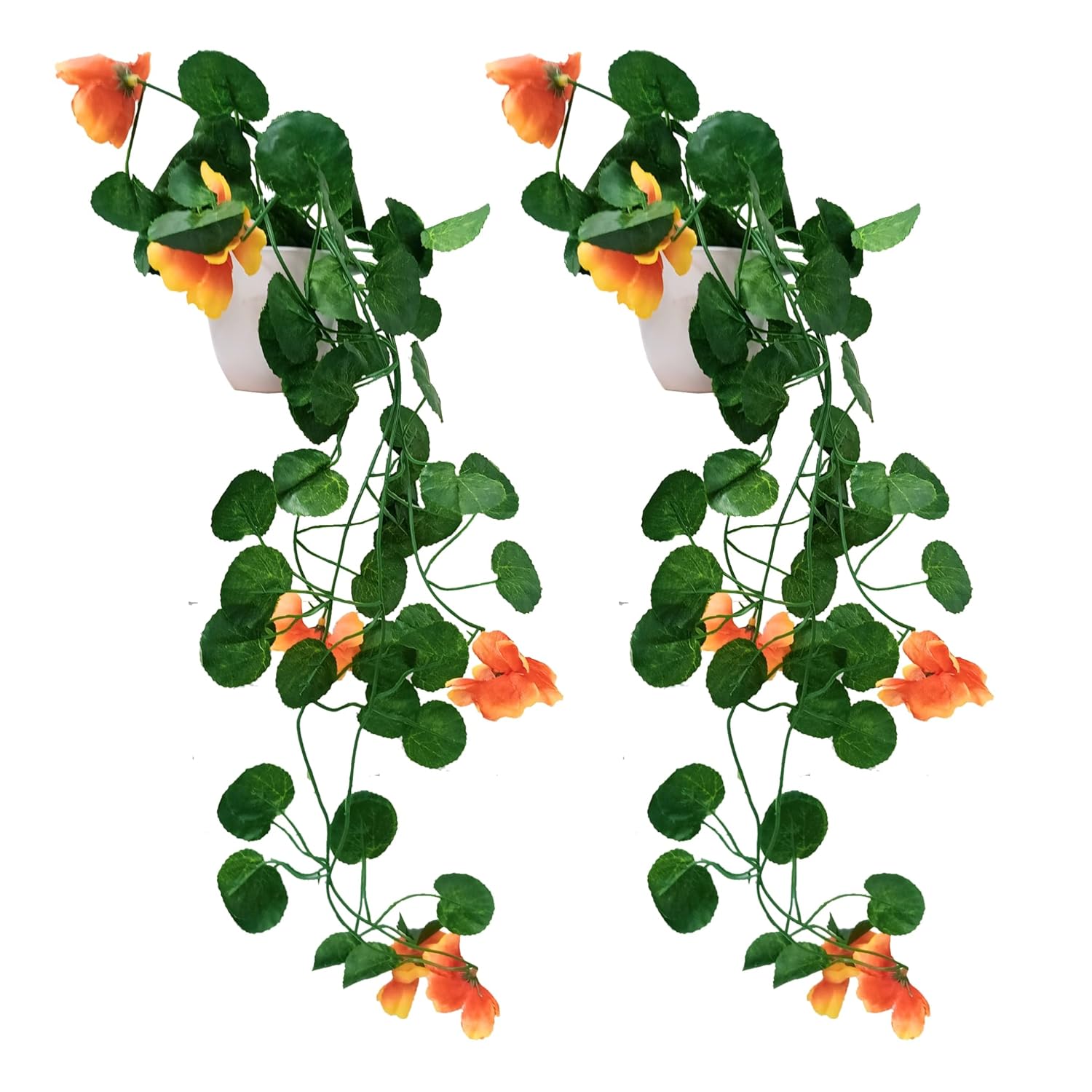71pWX1C311L._SL1500_